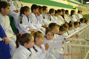 Domingo (11) ter&aacute; Festival Atleta do Futuro e diversas atra&ccedil;&otilde;es no Verd&atilde;o