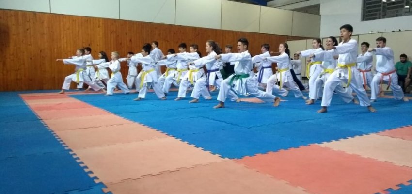 Festival Atleta do Futuro de Karate